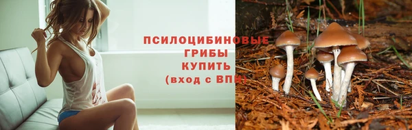 ALPHA PVP Бугульма