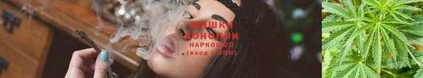 наркотики Бородино