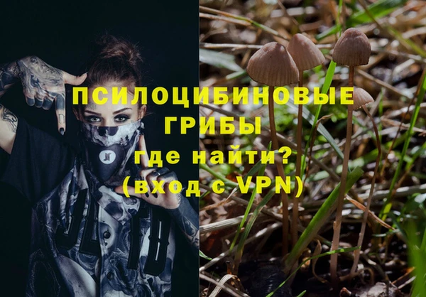 наркотики Бородино