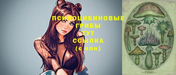 соль ск Бронницы